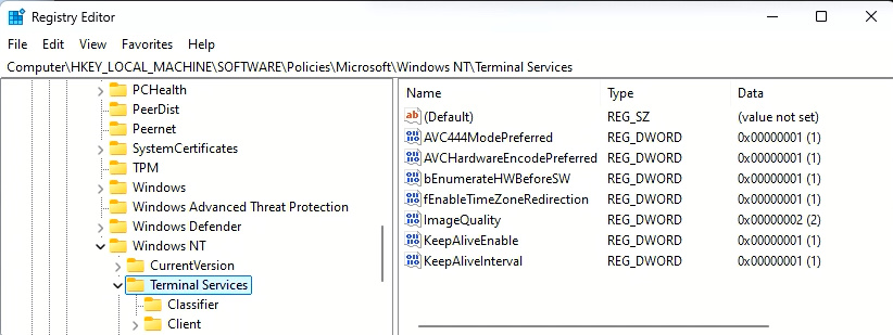 Windows 365 GPU Registry Settings